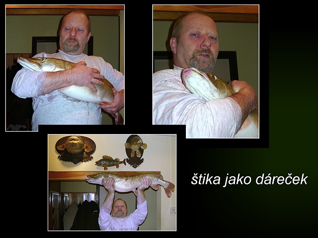 gejza 50 let33.jpg