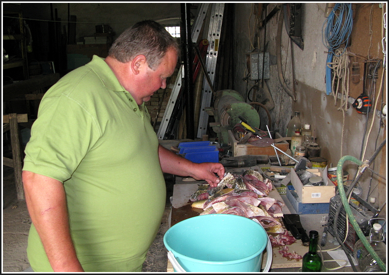 Radomilice_2011_8